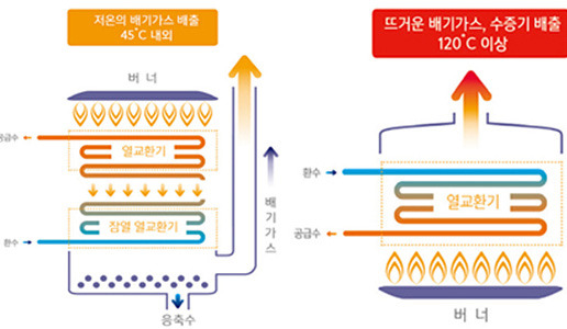 사진 제공 대구시