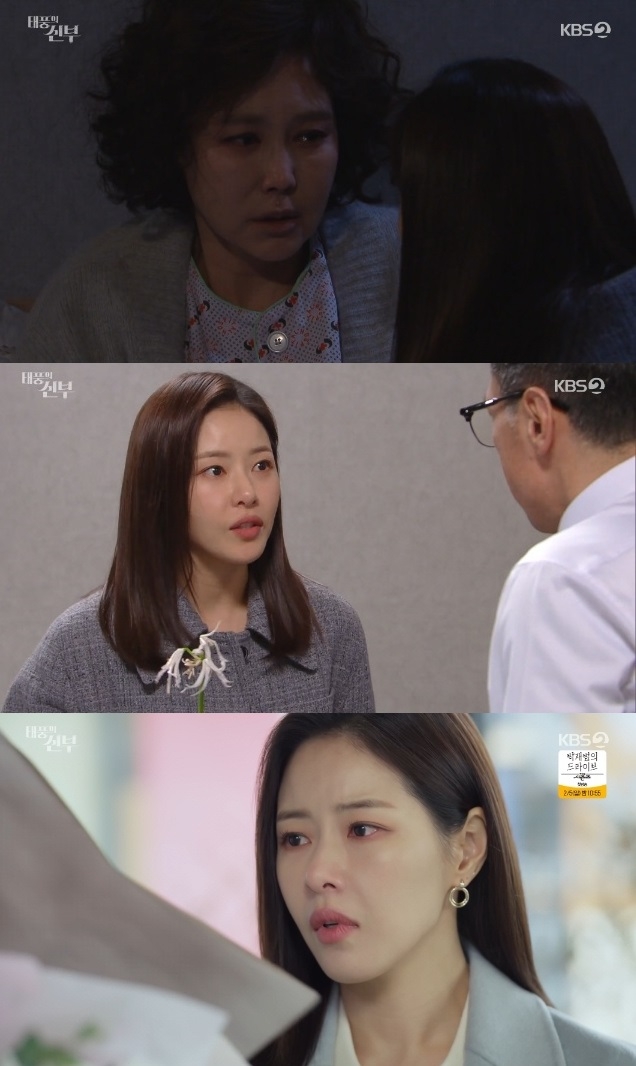 ‘태풍의 신부’ 박하나가 천산화 개발서를 찾았다.사진=KBS2 ‘태풍의 신부’ 방송캡처