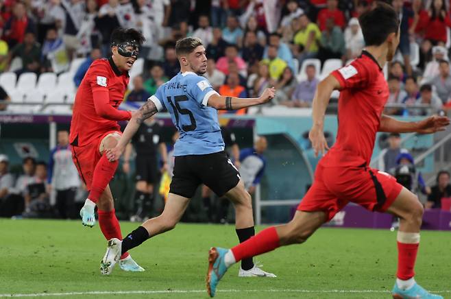 오는 3월 한국의 A매치 상대가 우루과이 또는 콜롬비아가 될 것으로 예상된다. 사진은 지난해 카타르월드컵 조별리그 한국과 우루과이의 경기 모습. /사진= 뉴시스