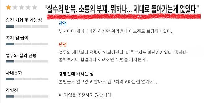 한 구직 사이트에 올라온 모 기업에 대한 리뷰. [기업 정보 플랫폼 화면 갈무리]