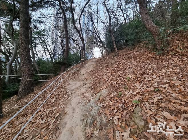 부산 민안초등학교 학생들이 통학할 때 이용하는 좁은 등산로 옆으로 낙엽이 쌓여 있다. 박진홍 기자