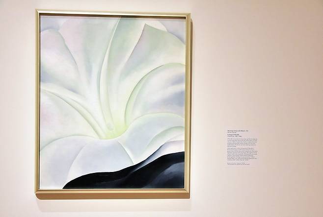 조지아 오키프의 작품 / 사진=플리커