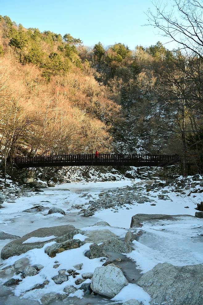 선재길 오대천 다리.