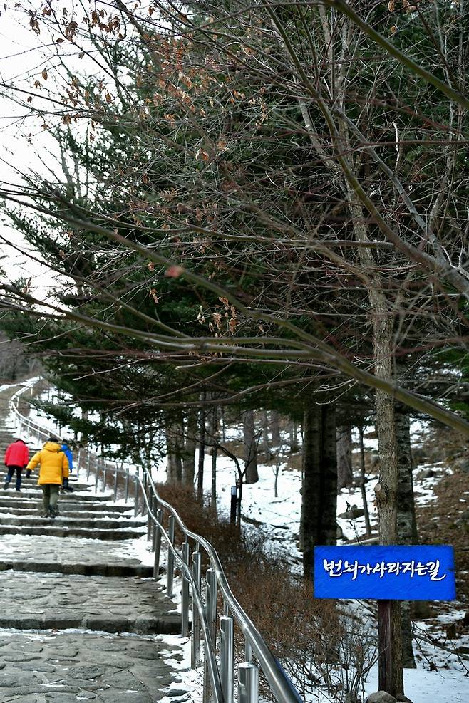 상원사 가는 길.