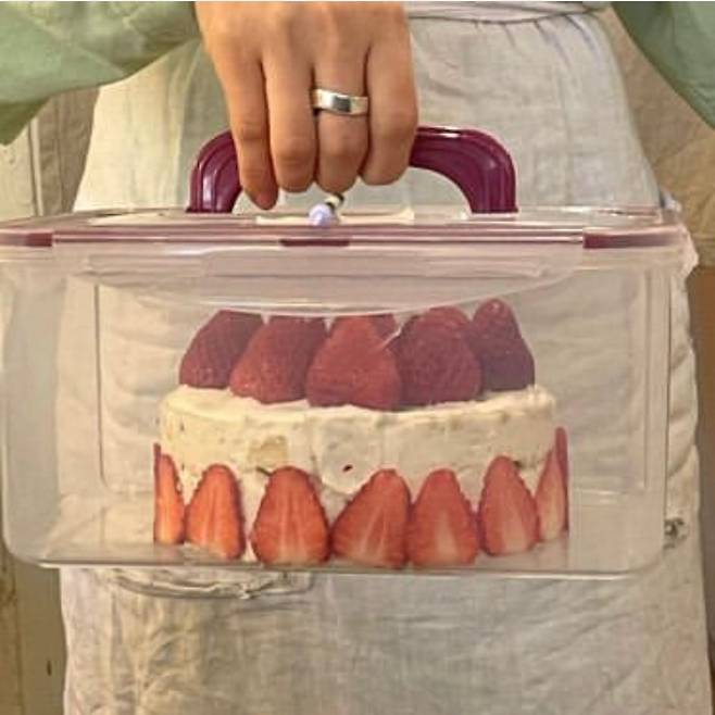 밀폐용기에 포장된 케이크 [얼스어스 제공]