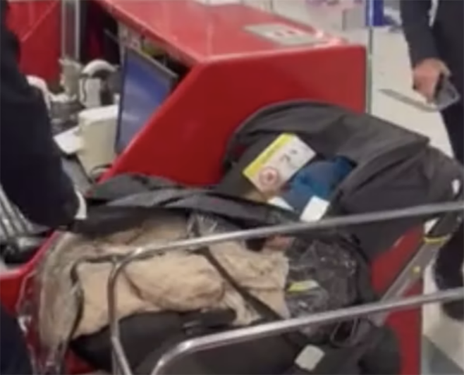 지난달 31일(현지 시각) 이스라엘 텔아비브 벤 구리온 국제공항에 남겨진 아기./인디펜던트