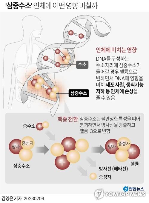 [그래픽] '삼중수소' 인체에 어떤 영향 미칠까 (서울=연합뉴스) 김영은 기자 = 0eun@yna.co.kr
    트위터 @yonhap_graphics  페이스북 tuney.kr/LeYN1