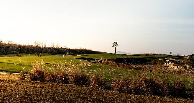 스카이72 오션코스 전경