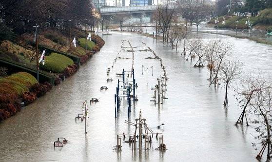 부산에 호우주의보가 내려진 지난달 13일 오전 도심 하천인 연제구·동래구 온천천 시민공원 일대가 불어난 물에 잠겨 있다. [연합뉴스]