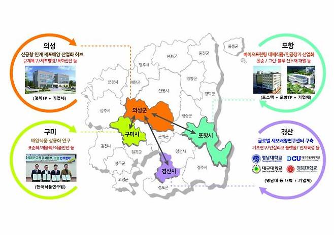 경북도가 40조원에 이르는 글로벌 세포배양산업을 선점하기 위해 의성을 중심으로 추진해 온 세포배양 산업을 경산, 포항, 구미 등으로 확대해 판을 키우고 있다. 세포배양클러스터 구상도(경북도 제공) 2023.02.07.