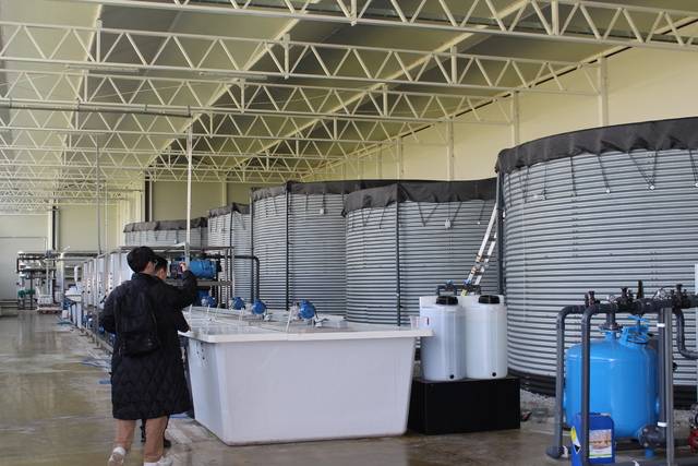 한번 사용한 양액을 버리지 않고 재활용해 쓸 수 있는 우듬지팜의 양액 탱크 및 배합·여과 시설.