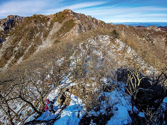 중봉을 내려서는 등산인 너머로 가지산정상 암봉이 불끈 솟아 있다. 주능선 맨우측의 바위는 가지산의 백미라 불리는쌀바위다.