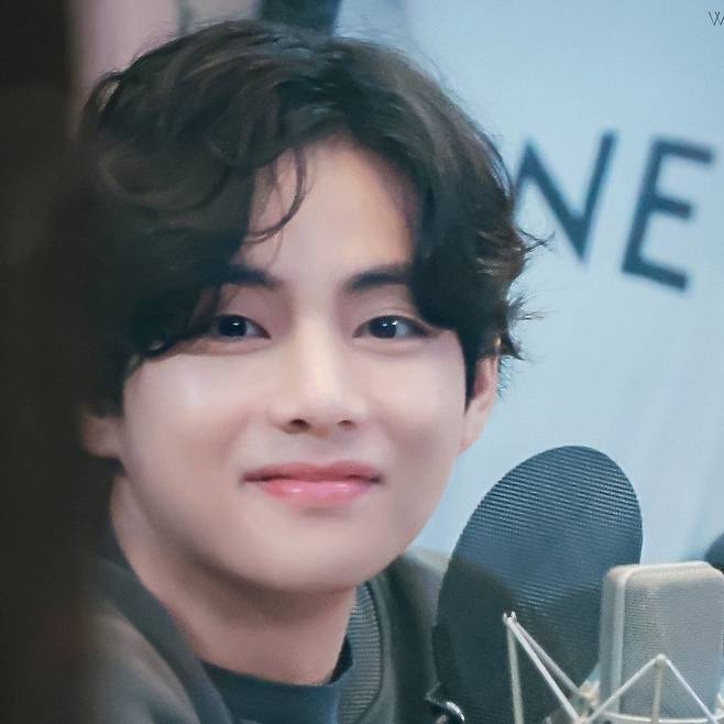 방탄소년단 뷔, '찹쌀떡처럼 귀여운 남돌' 1위