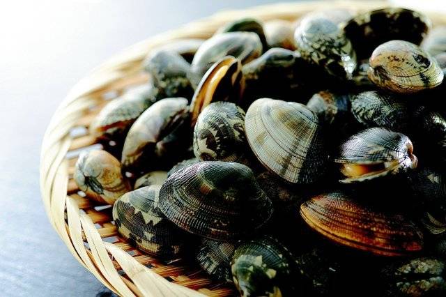 바지락은 특유의 단맛과 깔끔한 담백함으로 많은 사랑을 받는 조개다. 게티이미지코리아