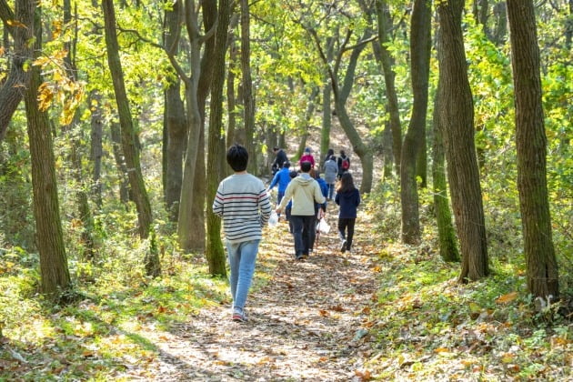 시민들이 산림청이 조성한 국가숲길인 충남 내포문화숲길을 걷고 있다. 산림청 제공