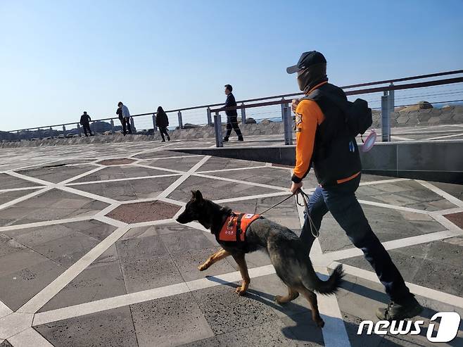 제주 서귀포시 새연교 인근에서 40대 남성이 실종돼 소방관 등이 수색하고 있다(제주소방안전본부 제공)