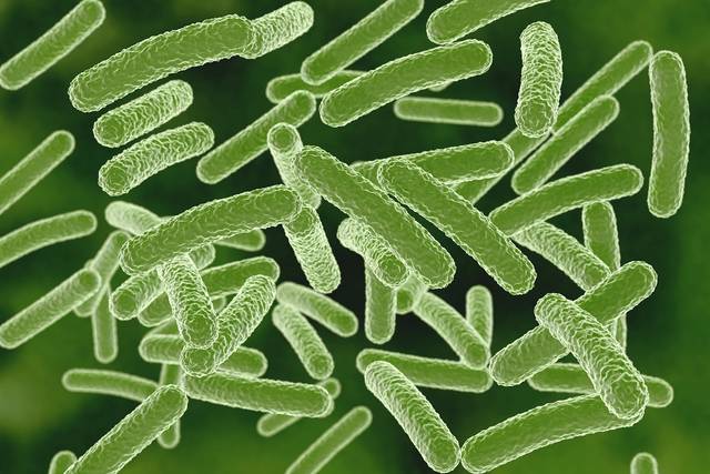 최근 바베이도스에서 열린 항생제 내성(AMR) 해결을 위한 6차 국제회의에서 ‘슈퍼박테리아에 대한 대비(Bracing for Superbugs)’ 보고서가 발표됐다. 이미지투데이