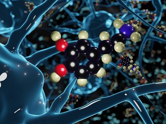 뇌에서 분비되는 도파민ㅣ출처: 게티이미지뱅크