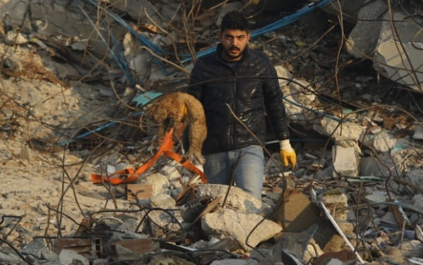 9일(현지시간) 한 남성이 튀르키예 남부 하타이의 무너진 건물 잔해 속에서 고양이를 구조해 나오고 있다. /사진=AP