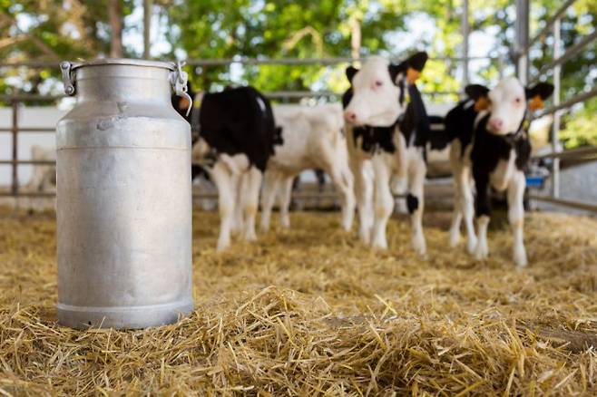 게티이미지뱅크 제공