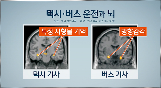 2015년 9월 7일 SBS 뉴스