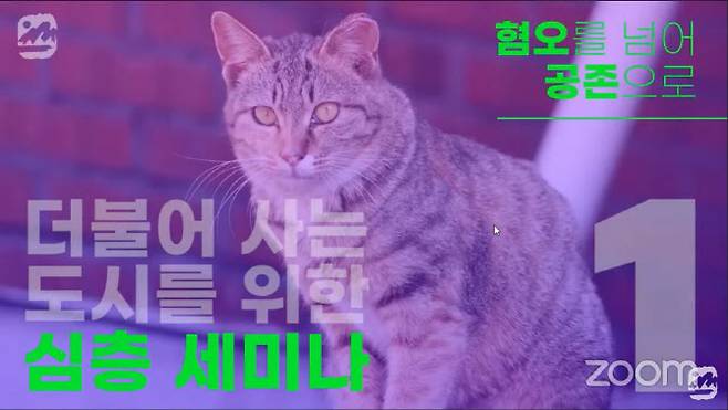 서울환경연합 사이트에 올라온 유튜브 영상 캡처 이미지