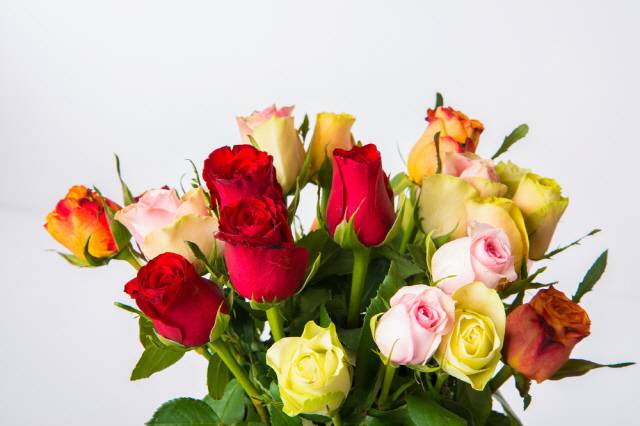 꽃이 시들지 않게 보관하려면 줄기를 비스듬히 잘라 화병에 꽂고, 물은 이틀에 한 번 갈아주는 게 좋다./사진=클립아트코리아