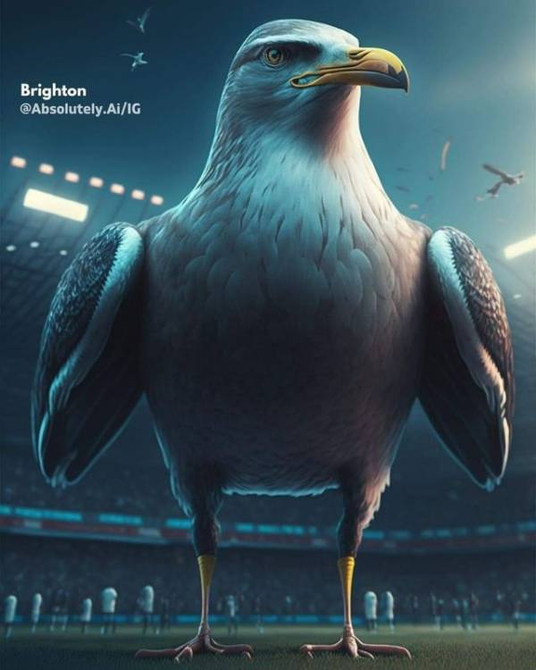 'absolutely.ai' 인스타그램