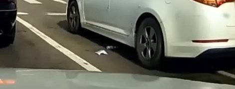 도로 위에 널브러진 쓰레기. 한문철TV