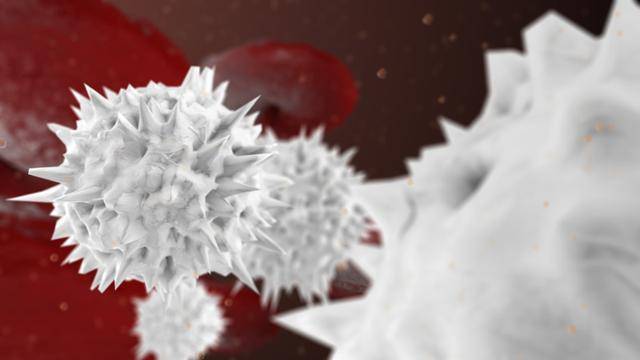 게티이미지뱅크