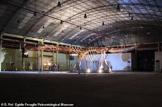 파타고티탄 마요룸의 화석. 사진 에지디오 페루글리오 고생물학 박물관.