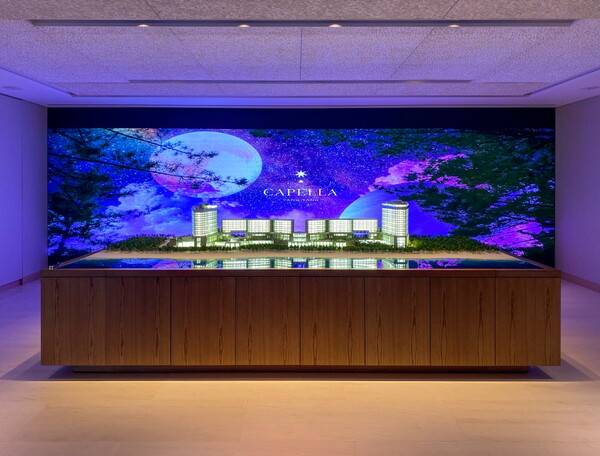 카펠라양양 오너스클럽