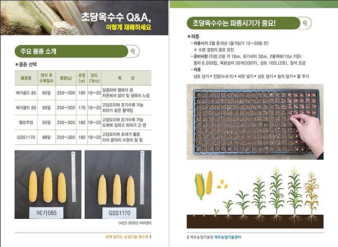초당옥수수·미니단호박 '농업기술 핸드북' (사진, 제주자치도 농업기술원)