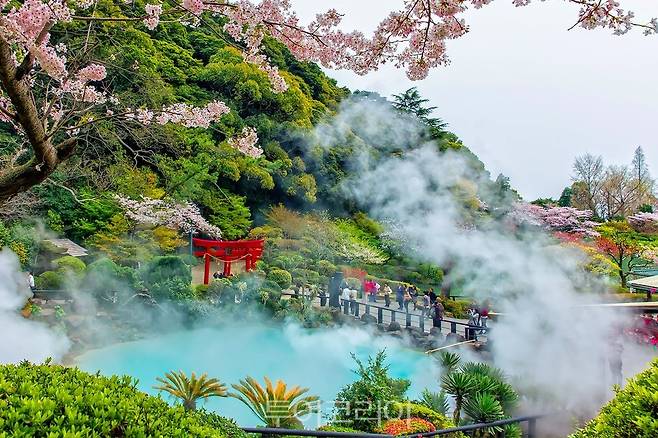 &nbsp;일본 벳푸의 지옥온천&nbsp;