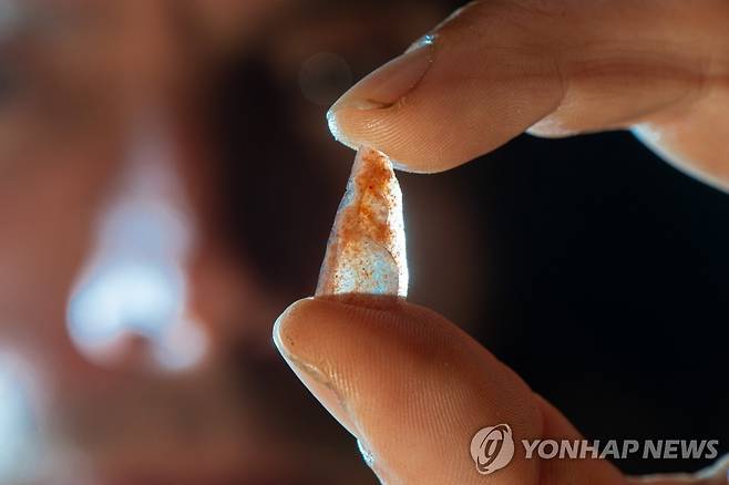 프랑스 남부 론 밸리의 선사 동굴 망드랭에서 발견된 화살촉 (AFP=연합뉴스) 22일(현지시간) 공개된 5만4천 년 된 화살촉. 프랑스 남부 론 밸리의 선사 동굴 망드랭에서 발견됐다. 2023.02.22. photo@yna.co.kr