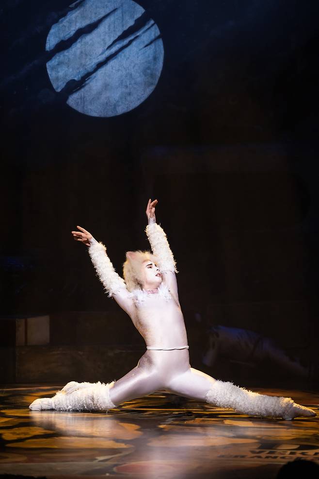 순진한 아기 고양이 빅토리아 [에스앤코 제공]