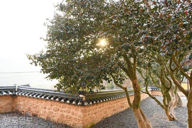 목포구등대 가는 길의 서동사는 동백나무와 비자나무숲이 아름다운 사찰이다.