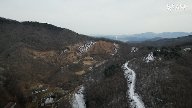 ▲사진 : 울창하던 숲이 벌거숭이가 됐다. (충북 진천)