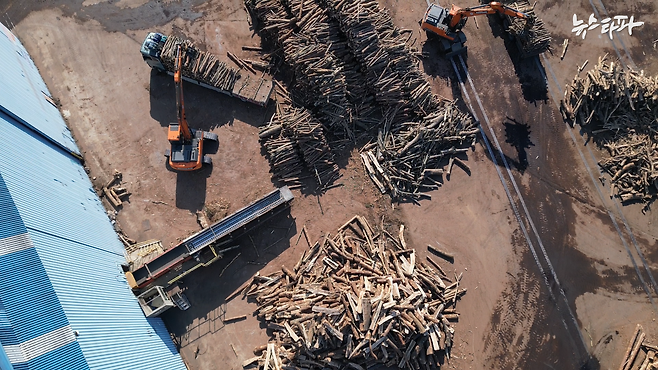 ▲사진 : 공장 내부의 통나무