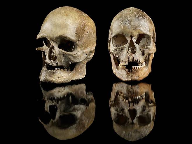 독일 서부에서 발견된 1만4천년된 두개골. Jürgen Vogel/LVR-LandesMuseum Bonn