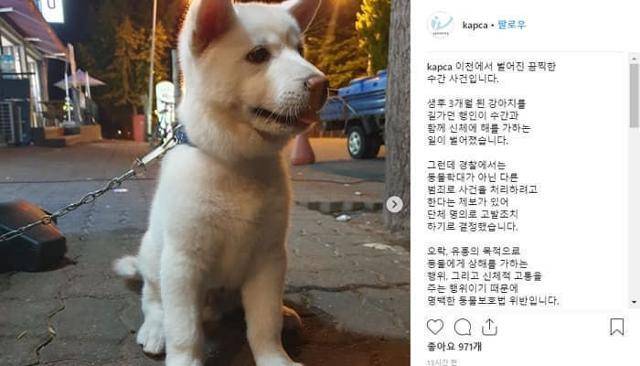 지난 2018년 발생했던 '이천 동물 성 학대 사건'. 갓 3개월령인 강아지는 이 사건으로 배변 장애가 생겼다. 동물학대방지연합 인스타그램 캡처