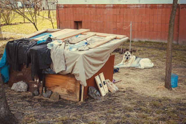미국 일부 주에서는 동물을 대상으로 한 성 학대 범죄를 저지른 사람들도 성폭력 범죄자로 분류해 관리하기도 한다. 게티이미지뱅크 *이해를 돕기 위한 자료 사진입니다.