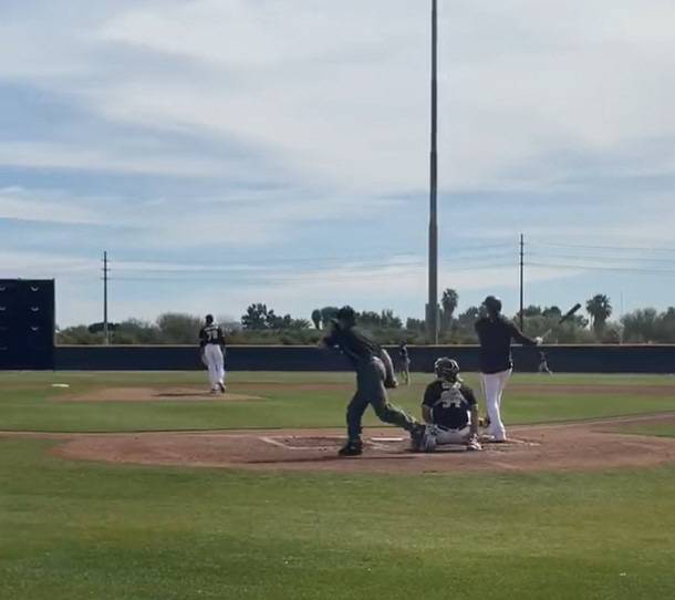 소토가 시뮬레이션 게임에서 좌측으로 홈런을 날리고 있다. 사진=헥터 고메즈 트위터 캡처