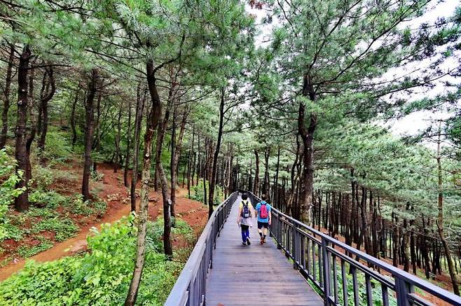 호암늘솔길＜사진=금천구청＞