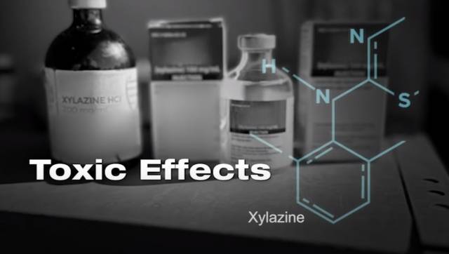 ABC 7 Chicago 뉴스 화면. 유튜브 캡쳐