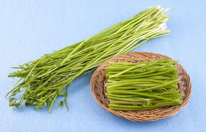 미나리 [사진 =게티이미지뱅크]