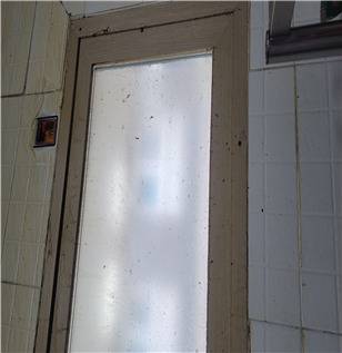 적발된 식당 주방 사진[식약처 제공]