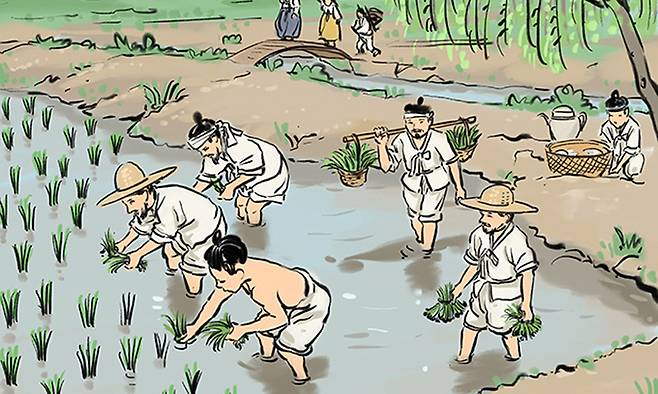 조선 시대 모내기 모습을 담은 그림. 한국국학진흥원 제공