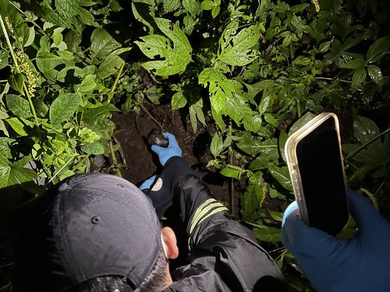 A police officer digs up a drug package hid in the side of a hill. [GYEONGNAM PROVINCIAL POLICE]