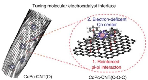 국내 연구팀이 탄나노튜브 위에 평면구조를 지니는 CoPc(Cobalt Phthalocyanine)를 안정화시킨 새로운 전기 촉매를 개발했다. [사진=IBS]
